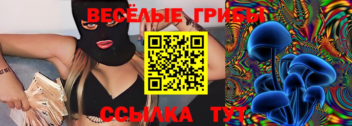 Псилоцибиновые грибы Psilocybine cubensis  Вход с VPN  Морозовск  Галлюциногенные грибы прущие грибы 